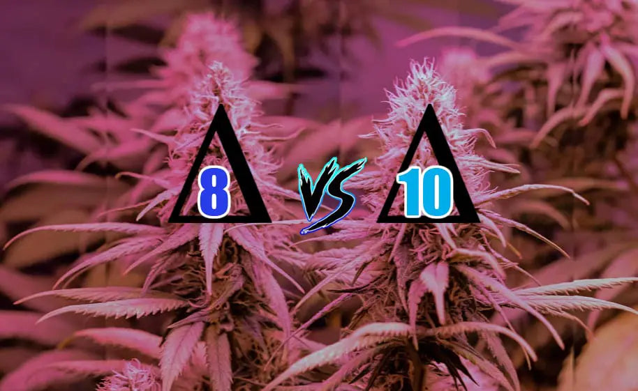 Delta 8 vs Delta 10